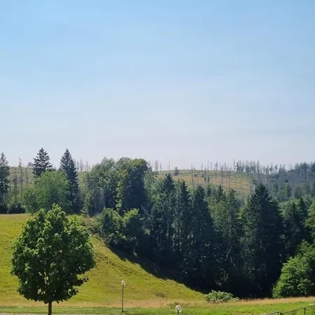 212 Apartmán Hohegeiß